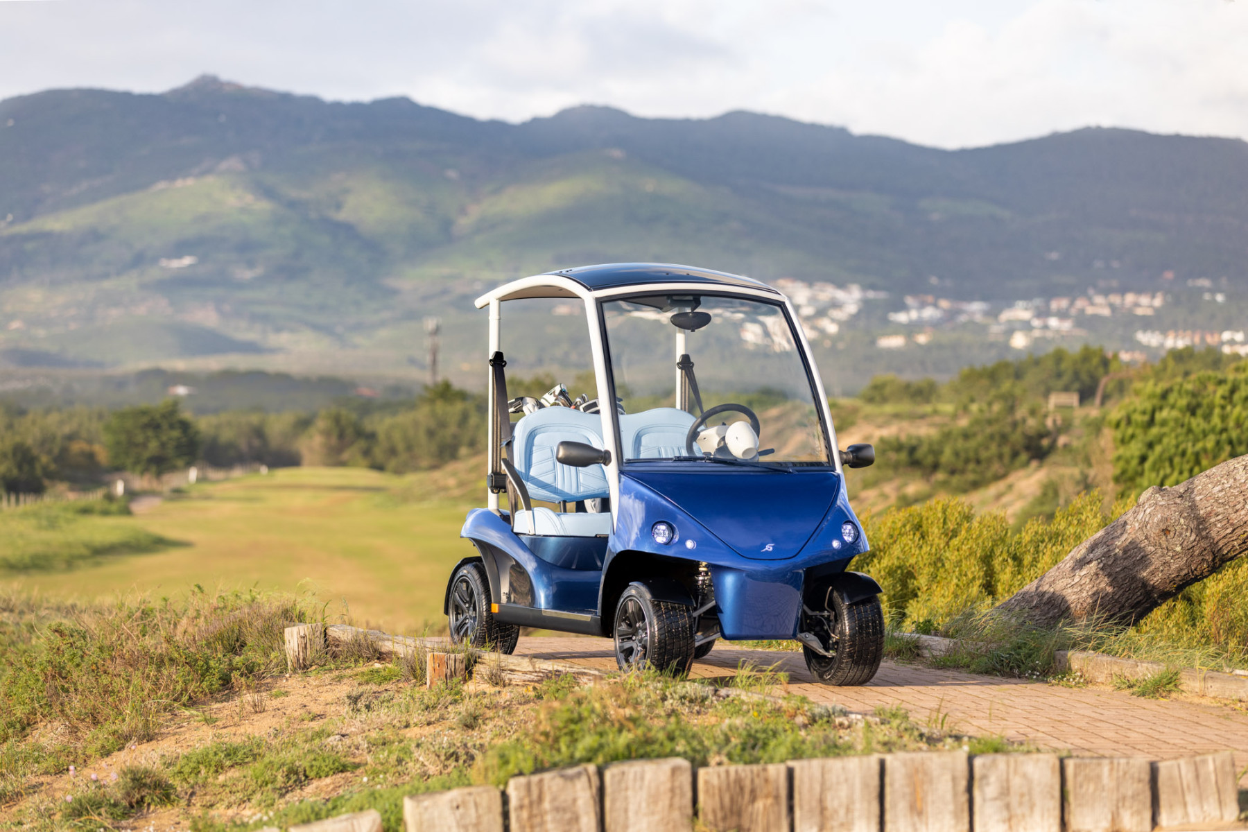 RB 20230118 3896 Edit